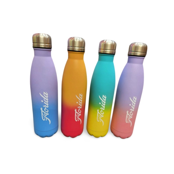 Florida Stainless Steel Bottle (Hot and Cold) - "Matte Finish" Multicolor