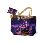 Florida Beach Bag with Purse - "Orlando Castle Fireworks"