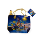 Florida Beach Bag with Purse - "Orlando Florida Castle"