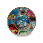 Florida Alloy Decorative Plate (Large) - "Orlando Sea Life"