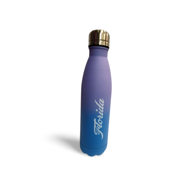 Florida Stainless Steel Bottle (Hot and Cold) - "Matte Finish" Multicolor