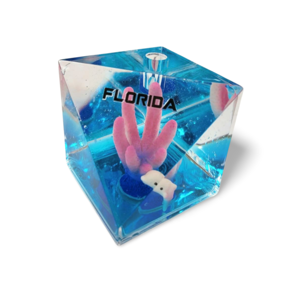 Acrylic Coral Pen Holder Liquid Filled Cube Paper Weight - Blue, Green, Red and Pink