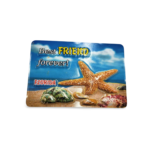 Florida Family Magnet - "Best Friend Forever - Sea Animals"