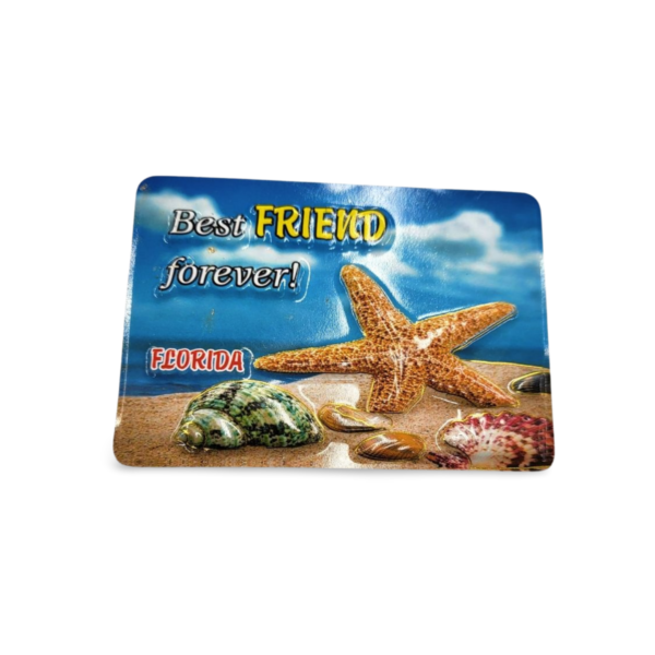 Florida Family Magnet - "Best Friend Forever - Sea Animals"