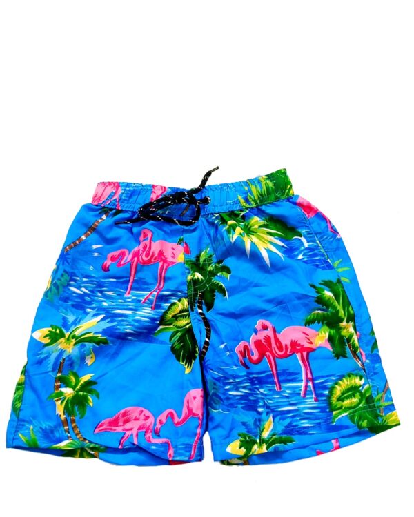 Boys Hawaiian Short 'FLAMINGO AQUA'