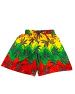 Men's Hawaiian Shorts 'MULTI'