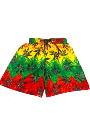 Men's Hawaiian Shorts 'MULTI'