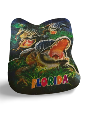 Florida 3D Magnet - "Gator Attack"