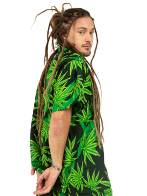 MHS-122-2.png